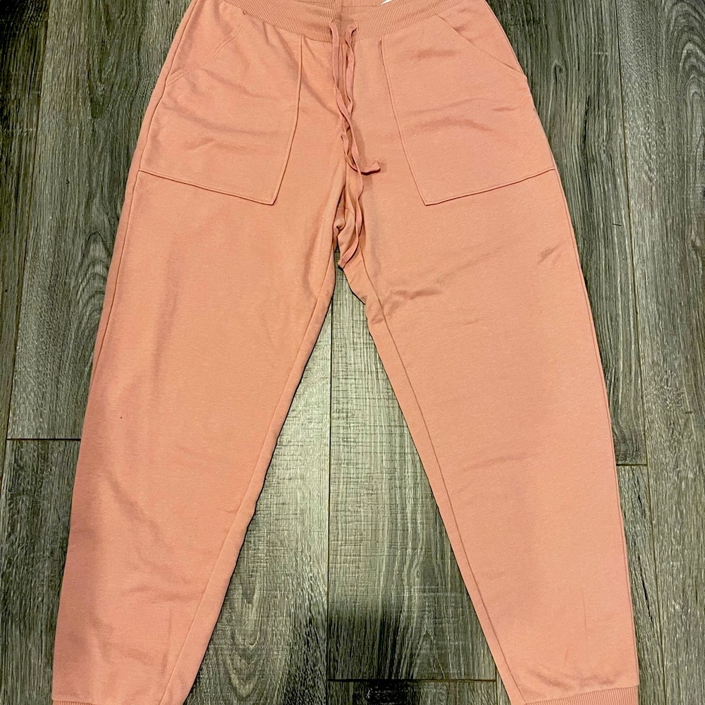 Brand new Banana republic outlet joggers/sweatpants